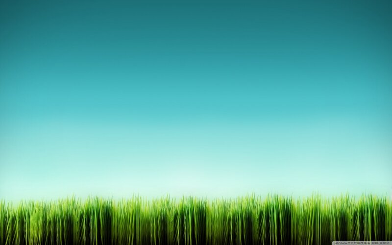 Green Grass Against Blue Sky — Serene
