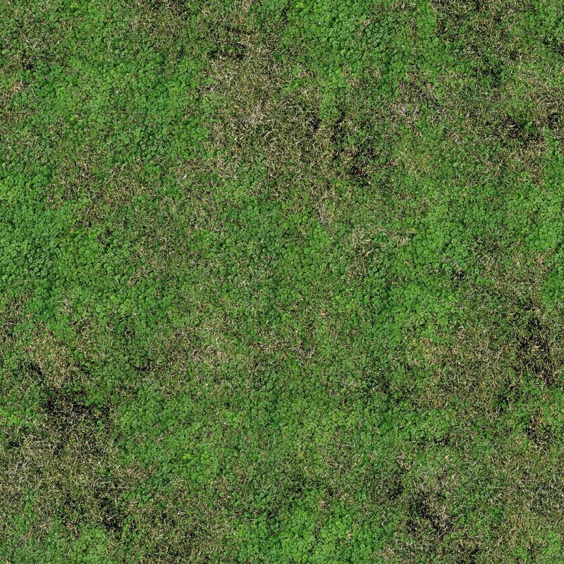 green grass and clover