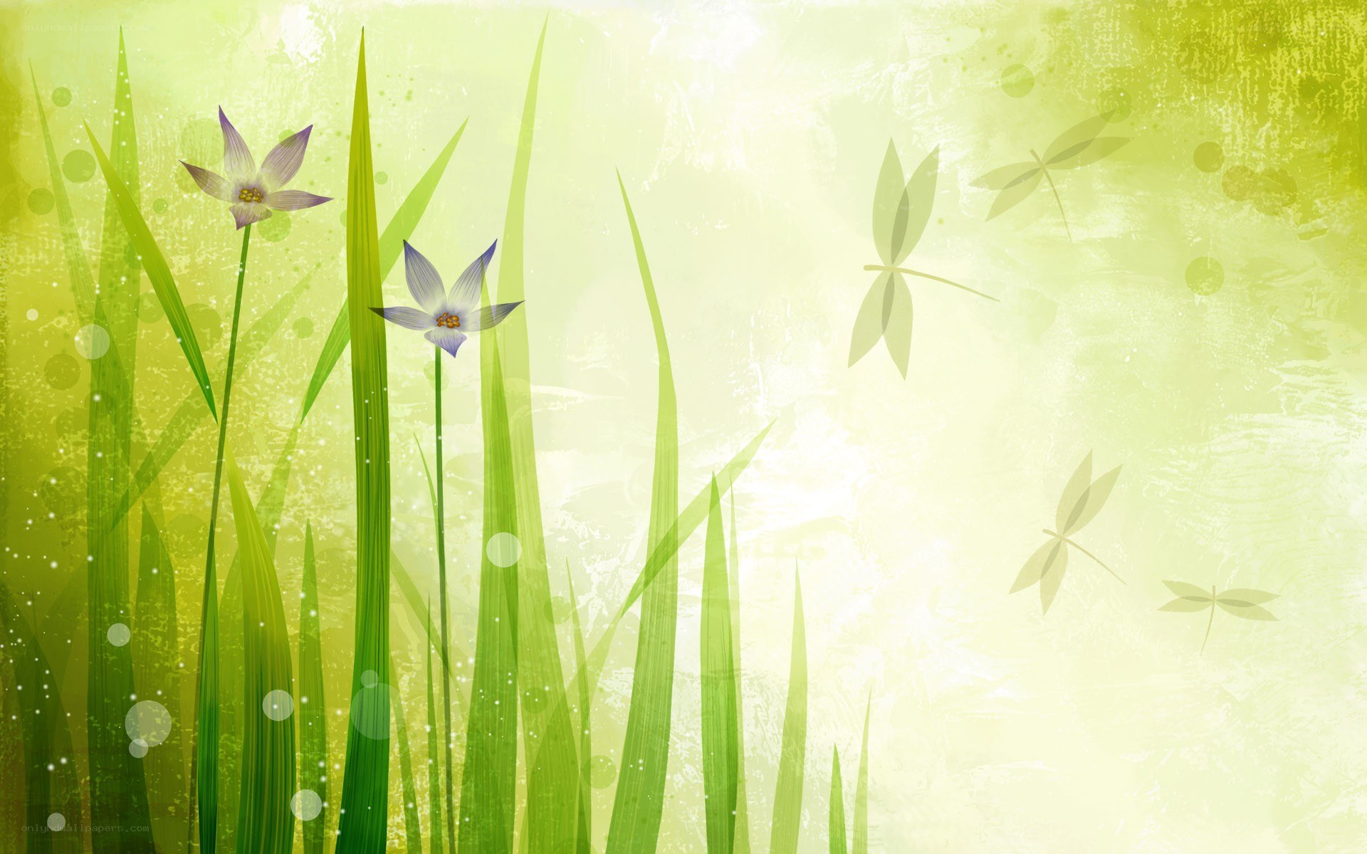 green grass and flowers