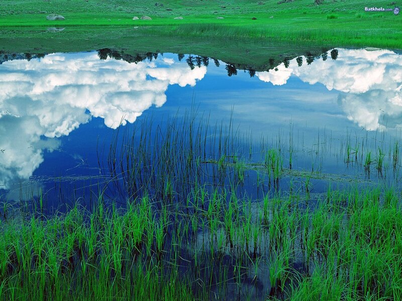 Green Grass and Water