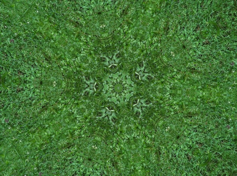 Green Grass and Weeds — Natural