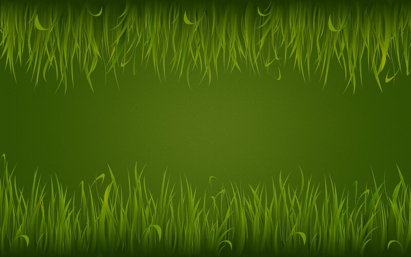 Green Grass Blades — Calm, Digital Art