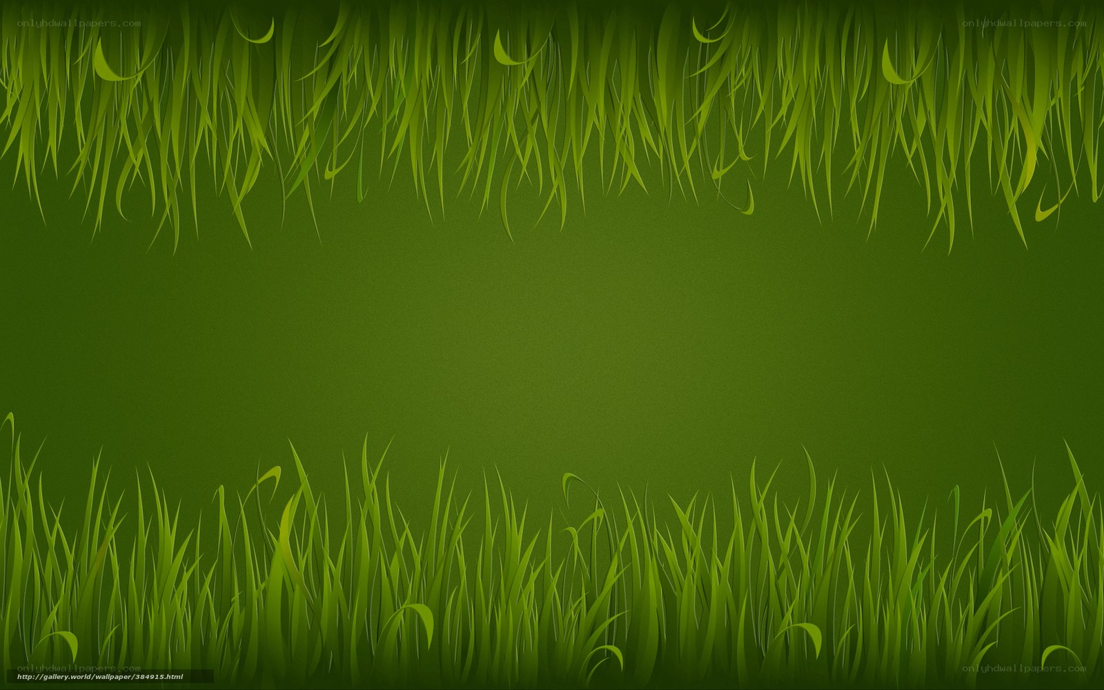 green grass border background