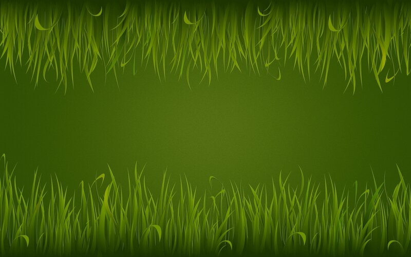 green grass border background