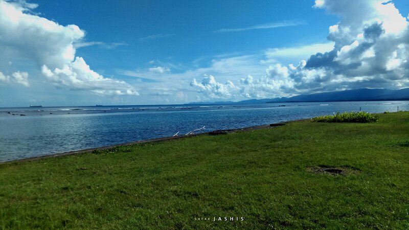 Green Grass by Ocean — Blue