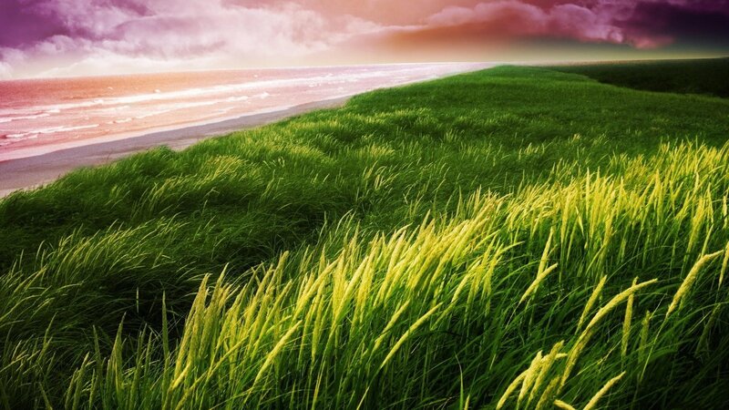 Green Grass Dunes