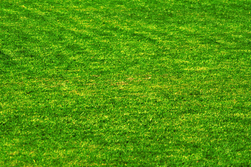 green grass field