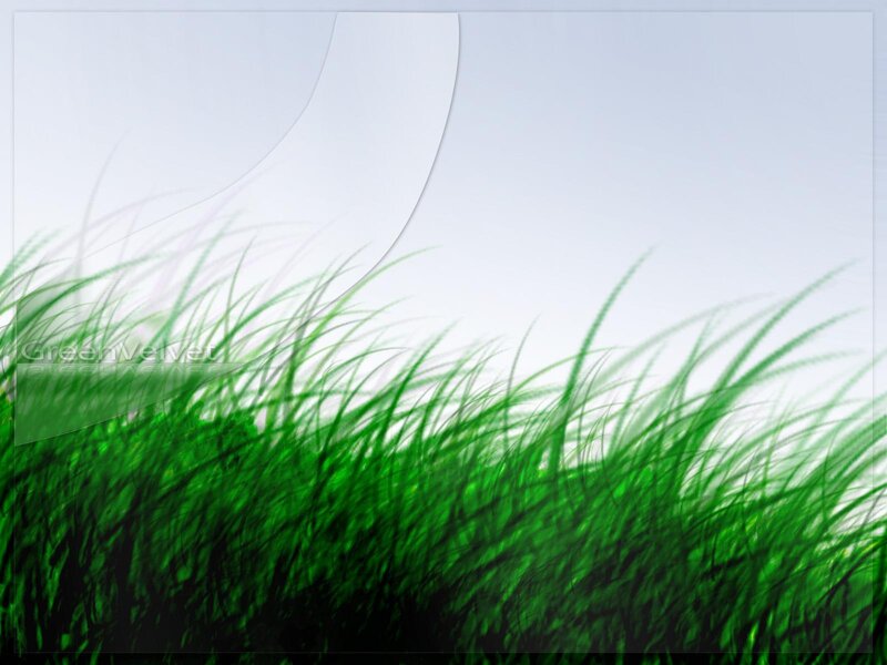 green grass field background