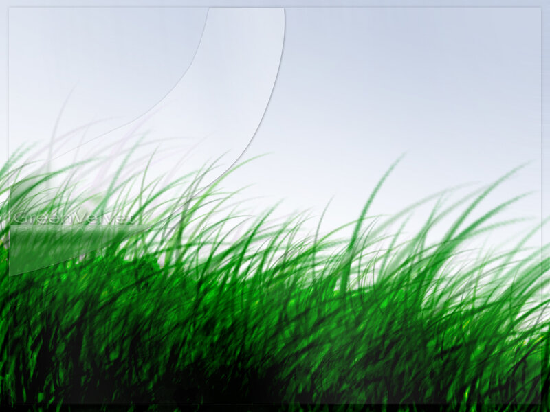 green grass field background