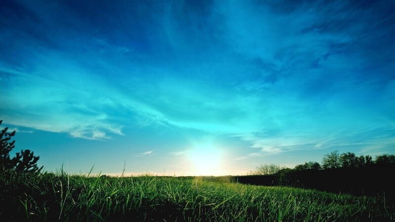 Green Grass Field — Blue, Serene, Sunset