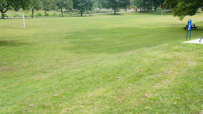 Green Grass Field — Calm, Afternoon, Photograph, Soccer Goal
