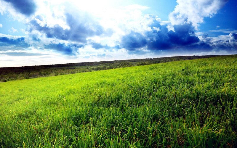 Green Grass Field — Dramatic, Afternoon, Photograph, Sky, Clouds