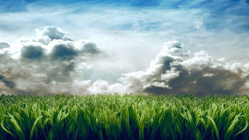 Green Grass Field — Dramatic, Afternoon, Photograph, Sky