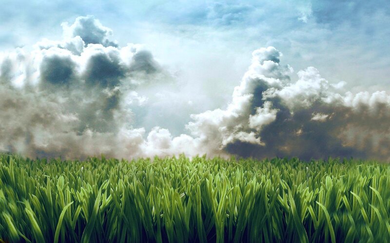 Green Grass Field — Dramatic, Afternoon, Photograph