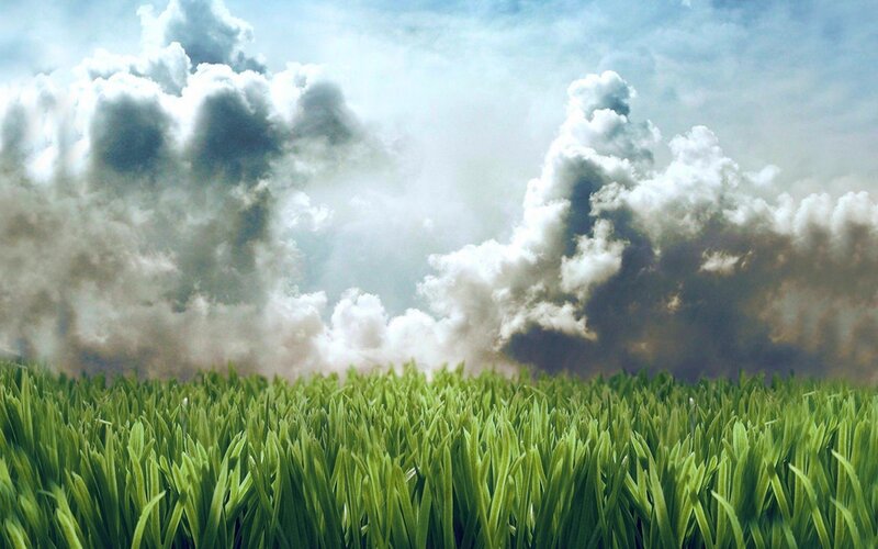 Green Grass Field — Dramatic, Digital Art