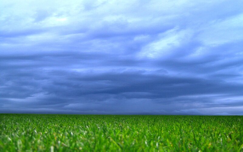 Green Grass Field — Dramatic, Photograph, Sky