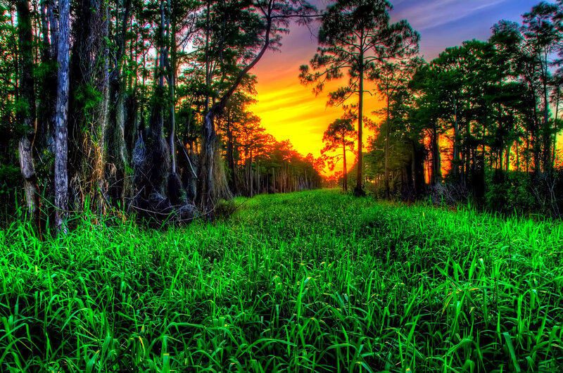 Green Grass Field — Dramatic, Sunset, Photograph