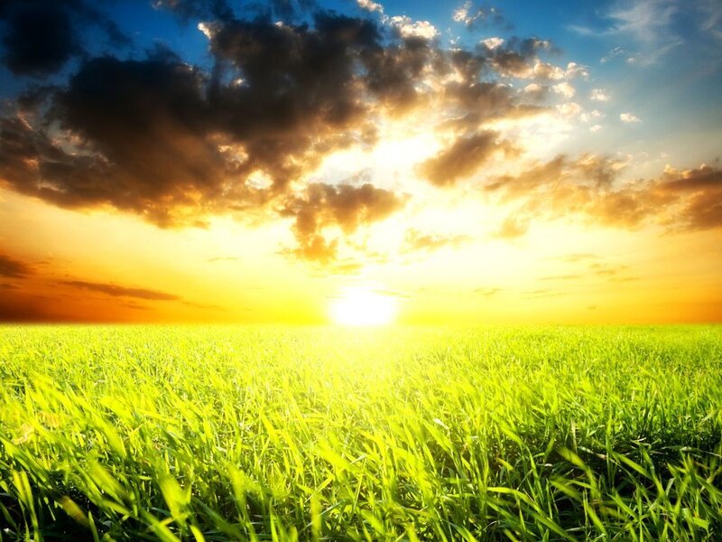 Green Grass Field — Dramatic, Sunset