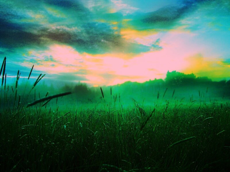 Green Grass Field — Dreamy