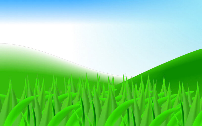 green grass field landscape