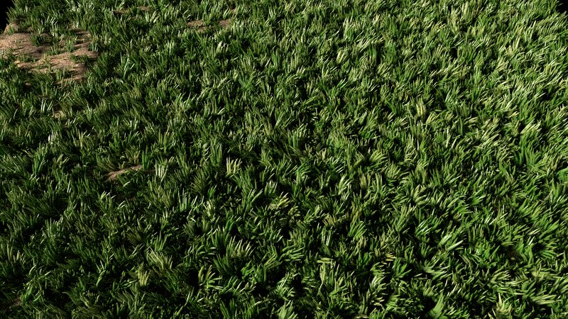 Green Grass Field — Natural