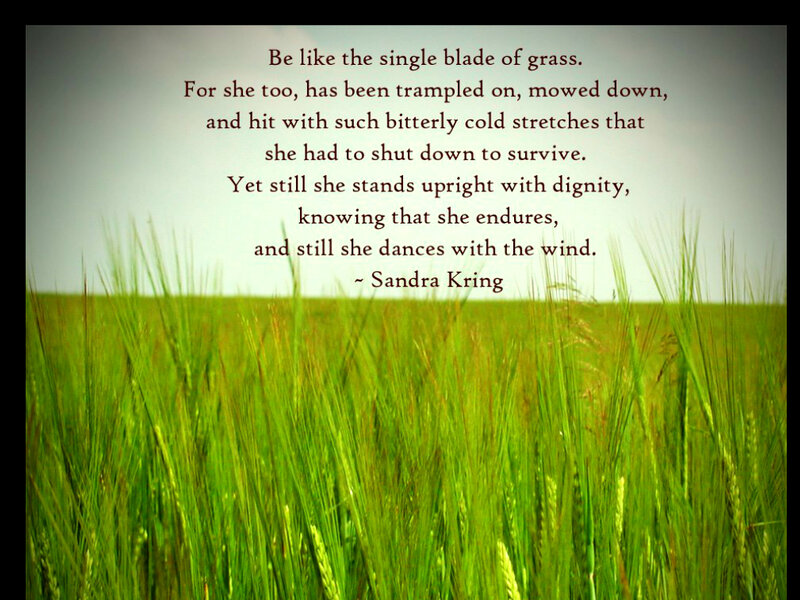 Green Grass Field — Reflective
