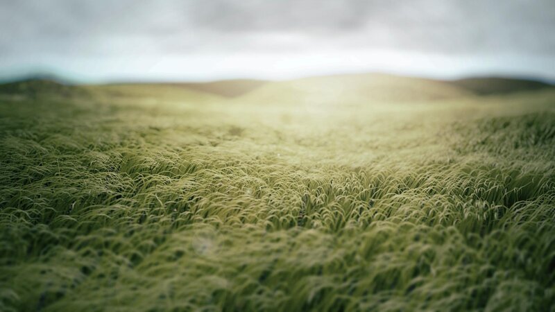 Green Grass Field — Serene, Afternoon, 3d Render, Hills