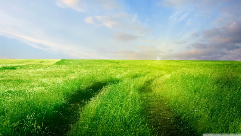 Green Grass Field — Serene, Afternoon, Photograph, Sky, Clouds, Path