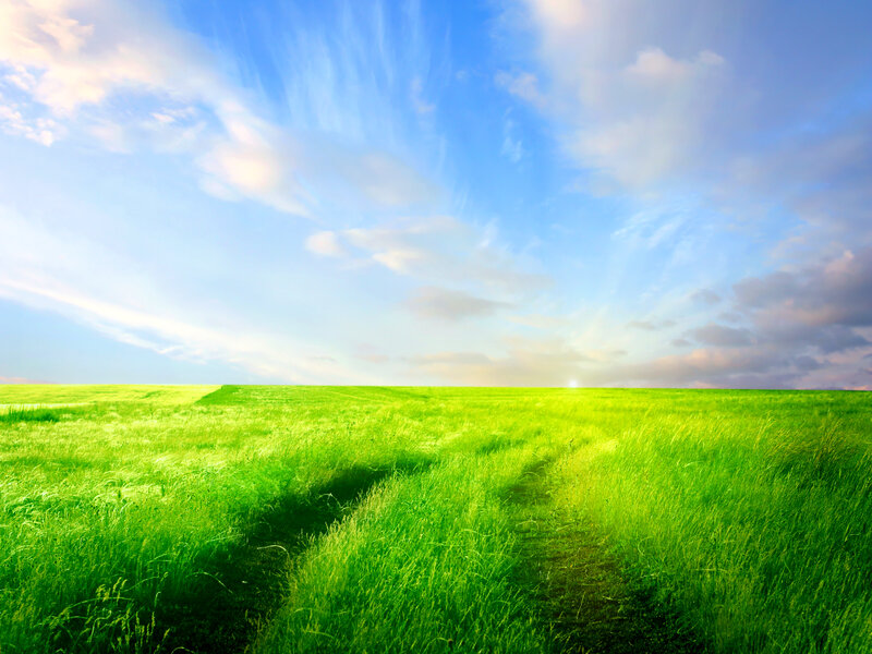 Green Grass Field — Serene, Afternoon, Photograph, Sky, Clouds