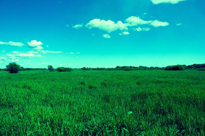 Green Grass Field — Serene, Afternoon, Photograph, Sky, Clouds, Trees