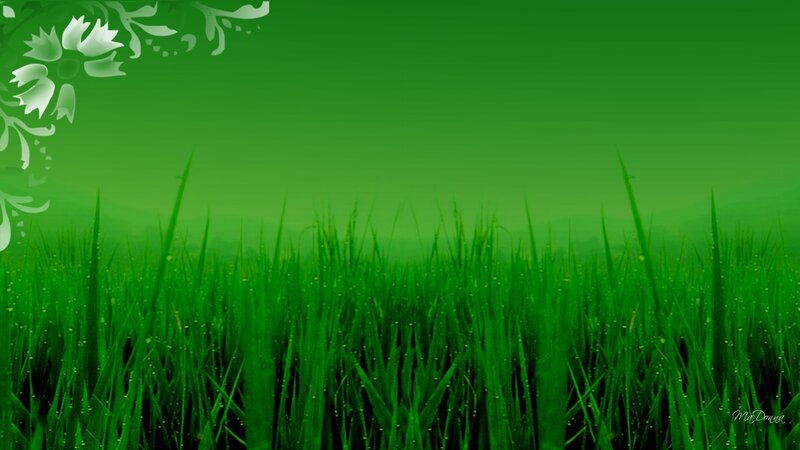 Green Grass Field — Serene, Digital Art, Flowers