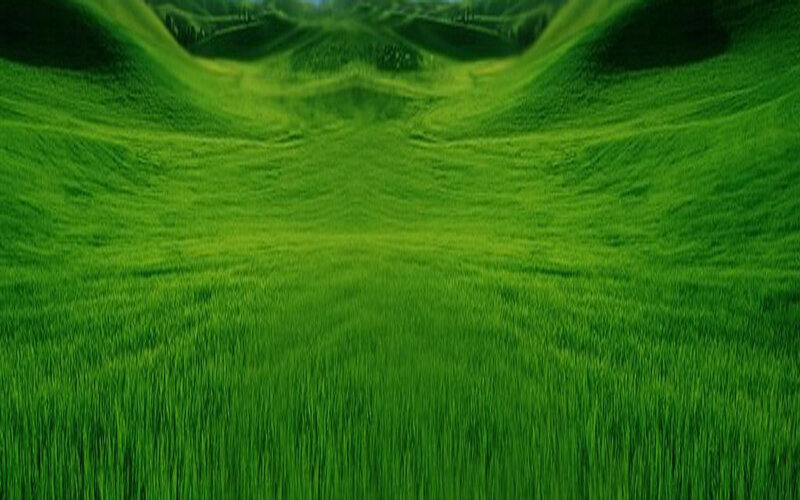 Green Grass Field — Serene, Digital Art
