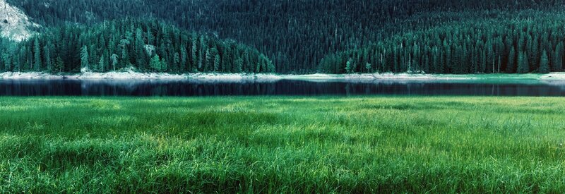 Green Grass Field — Serene, Photograph