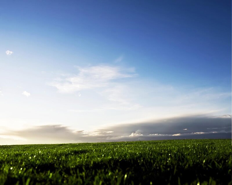 Green Grass Field — Serene, Sunrise, Photograph