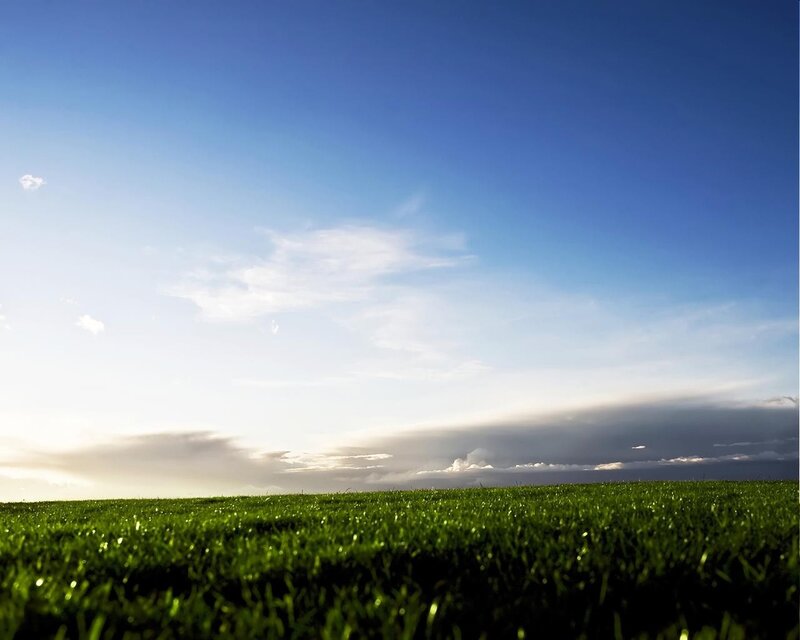 Green Grass Field — Serene, Sunrise