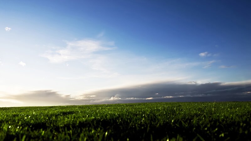 Green Grass Field — Serene, Sunset, Photograph, Sky