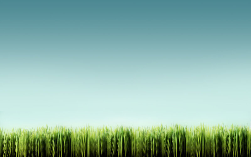 Green Grass in Field — Serene, Morning, Photograph, Sky, Blue