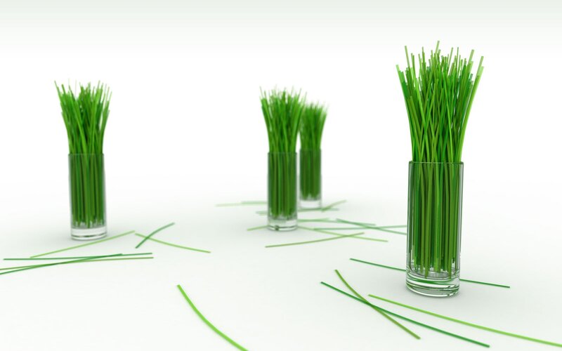Green grass in glass vases