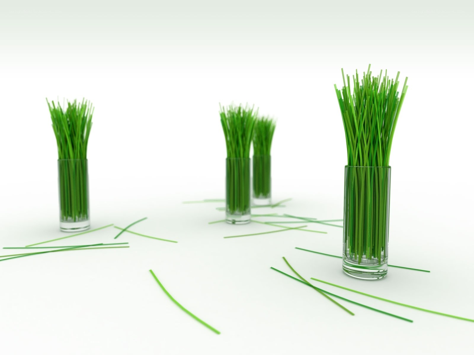 Green grass in glass vases