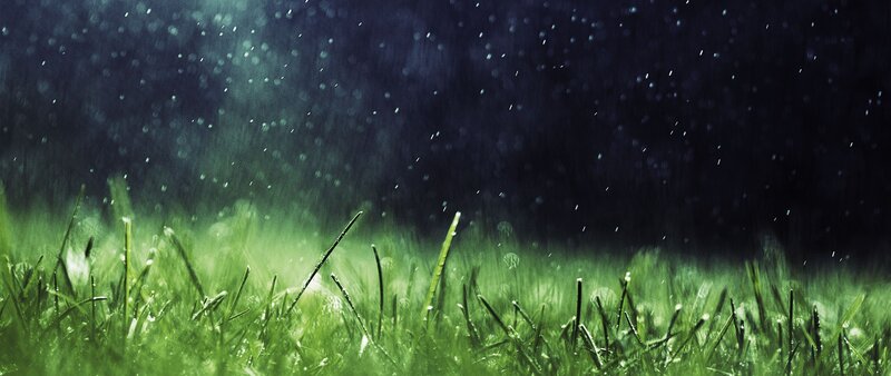 Green Grass in Rain — Dramatic, Night