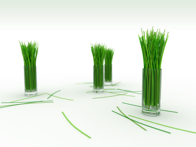 Green Grass in Vases — Minimalist, 3d Render