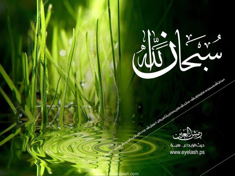 Green Grass in Water