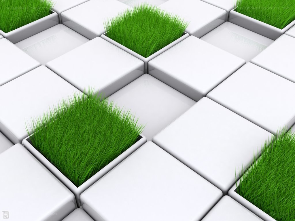 green grass in white cubes