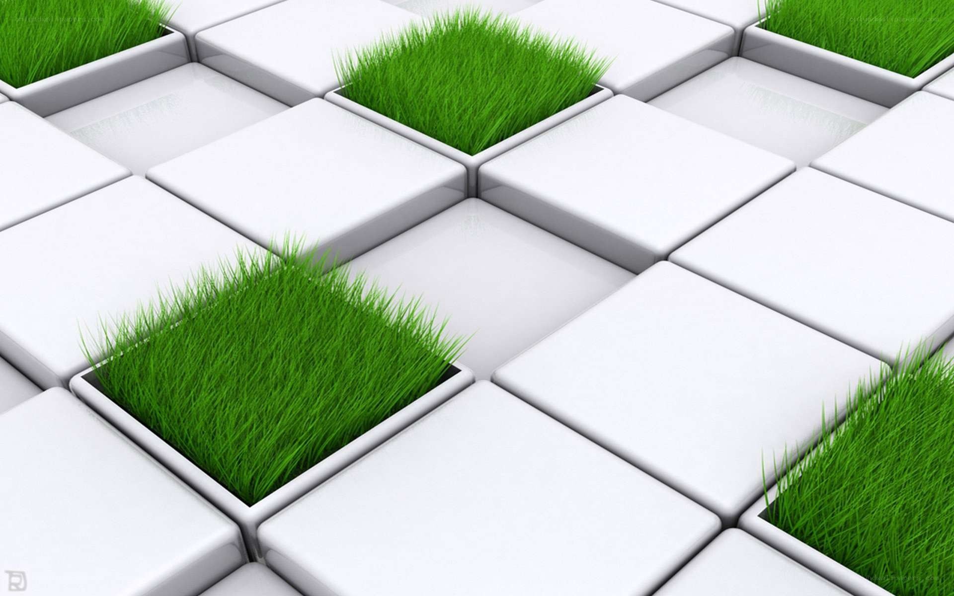 green grass in white tiles