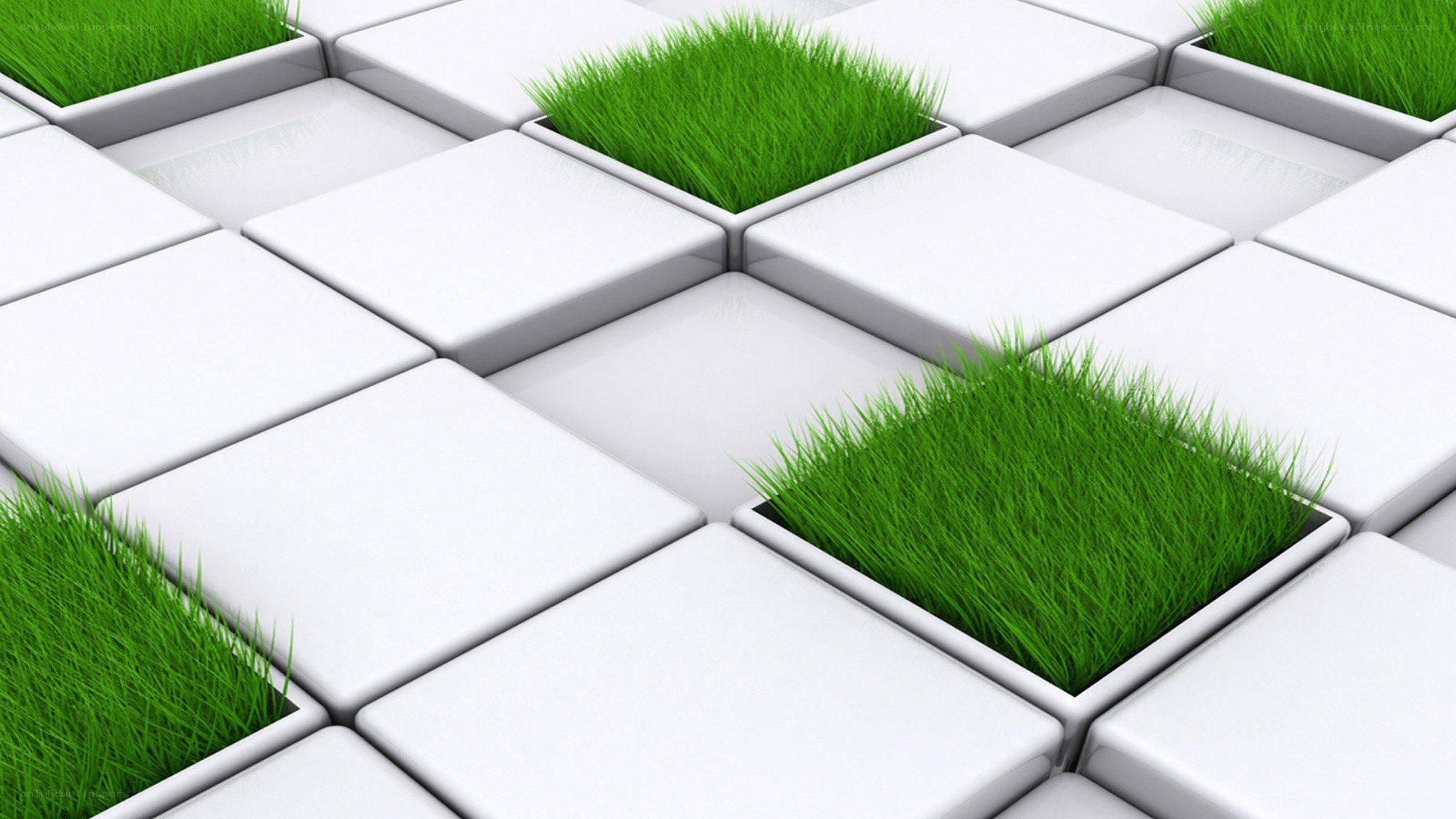 green grass in white tiles