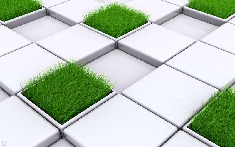 Green Grass in White Tiles — Calm