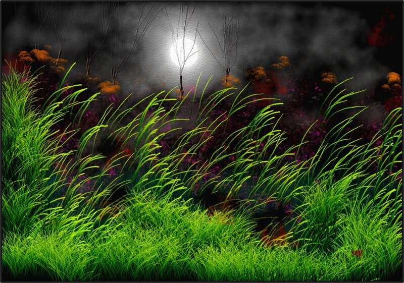 Green Grass in Wind