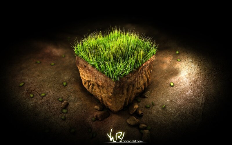 green grass on a stone block