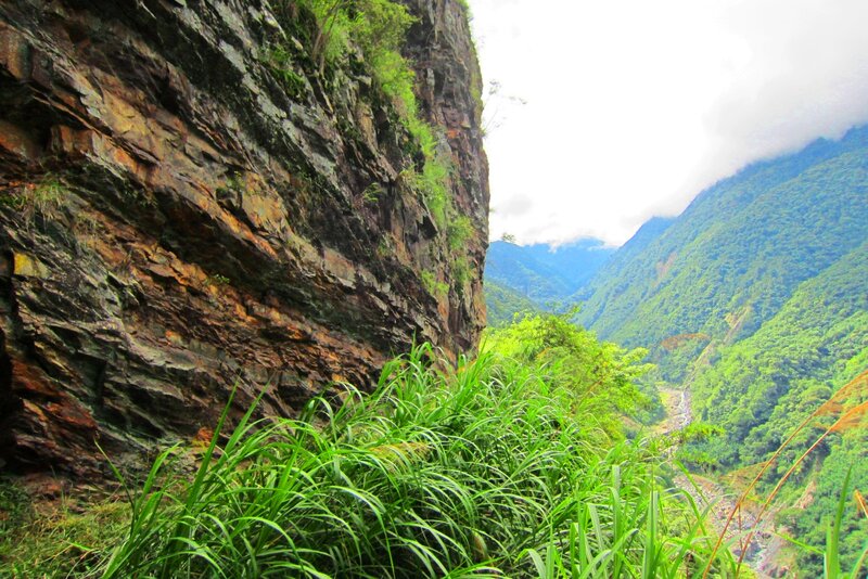 Green Grass on Cliff