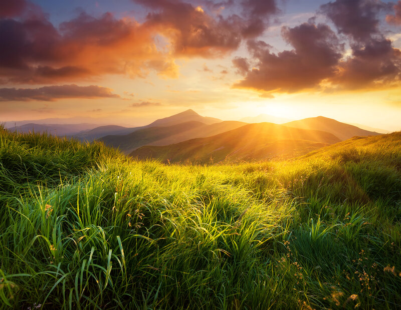 Green Grass on Hillside